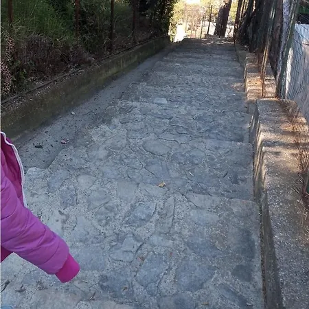 Il Piccolo Paradiso *