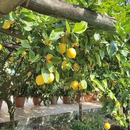 Il Piccolo Paradiso Holiday home Maiori